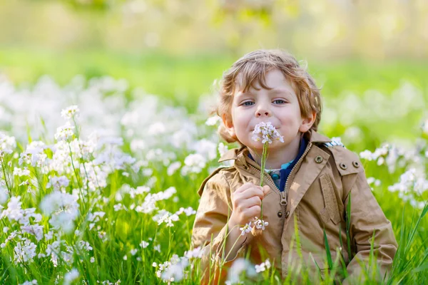 Dítě chlapec v jarní zahradě rozkvetlé květiny — Stock fotografie