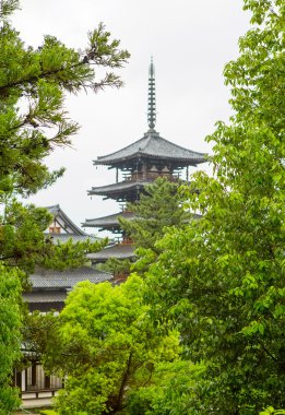 Horyu-ji Tapınağı Nara, Unesco Dünya Mirası, Japonya