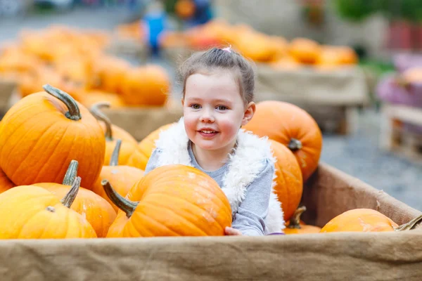 Little kid girl on pumpkin farm celebrating thanksgiving — Stock fotografie