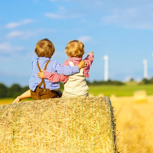 两个小的双胞胎男孩和朋友坐在干草堆上 — 图库照片