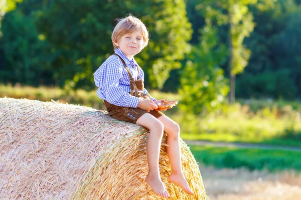 Two little kid boys and friends sitting on hay stack — Stock Photo, Image