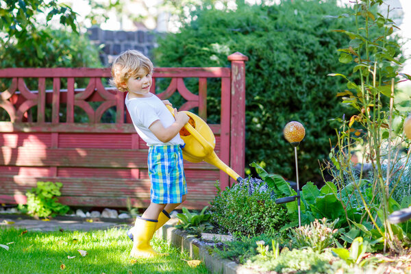 little kid boy watering plants in garden in summer