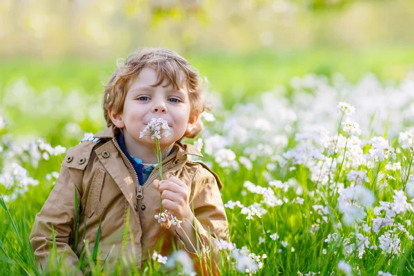 Jongen jongen in lentetuin met bloeiende bloemen — Stockfoto