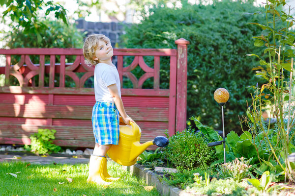 little kid boy watering plants in garden in summer