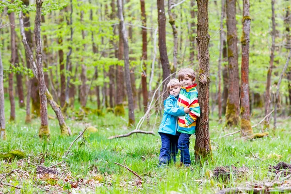 Two kid boys walking through forest on cold day — Stock fotografie