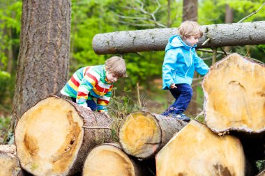 İki küçük çocuk ormanda soğuk günde oynayan çocuklar