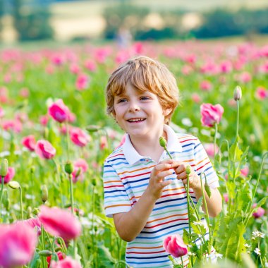 Küçük çocuk çocuk Pembe çiçek açan içinde haşhaş alan