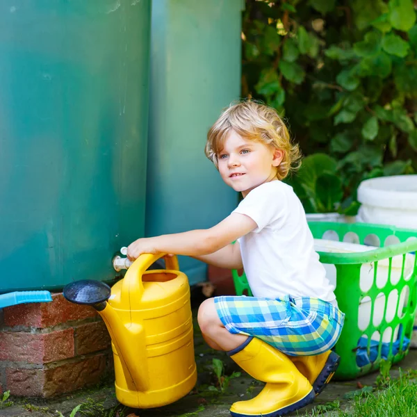 Little kid boy watering plants in garden in summer — Stock Photo, Image