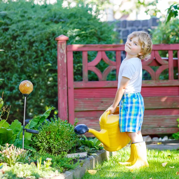 Petit garçon arrosage des plantes dans le jardin en été — Photo