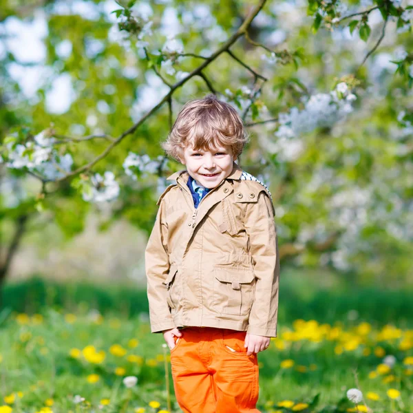 Kid boy in spring garden with blooming apple trees — Stock Photo, Image