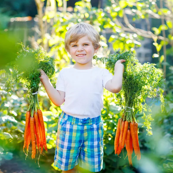 Funny little kid boy with carrots in domestic garden — Stock Photo, Image