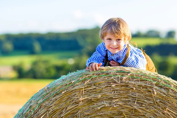 Zwei kleine Jungen und Freunde sitzen auf einem Heuhaufen — Stockfoto