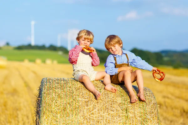 Two little kid boys and friends sitting on hay stack — Stock Photo, Image