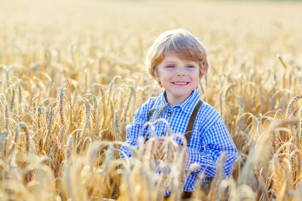 Funny little kid boy in leather shors, walking  through wheat fi — Stock Photo, Image