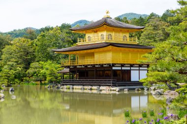 Kinkakuji Tapınağı 