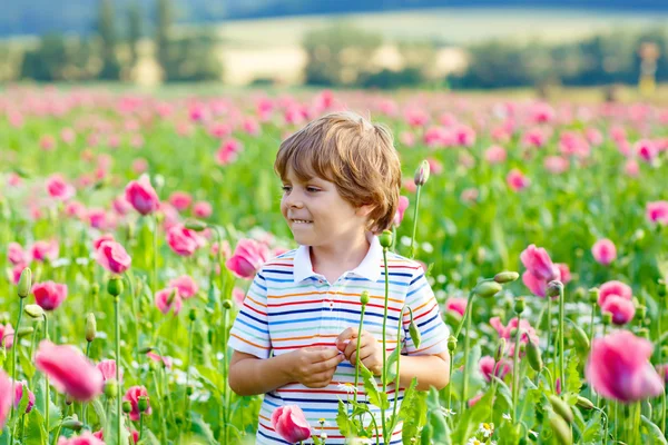 Menino em flor campo de papoula rosa — Fotografia de Stock