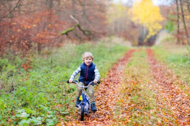 Küçük çocuk çocuk sonbahar ormandaki bisiklet ile