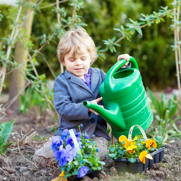 Liten pojke trädgårdsskötsel och plantera blommor i trädgården — Stockfoto