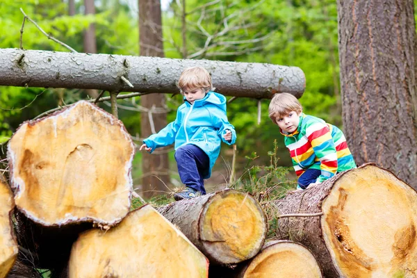 Two little kid boys playing in forest on cold day — Stock Photo, Image