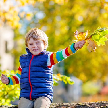 Sarı ile oynayan küçük sarışın çocuk sonbahar parkta bırakır.