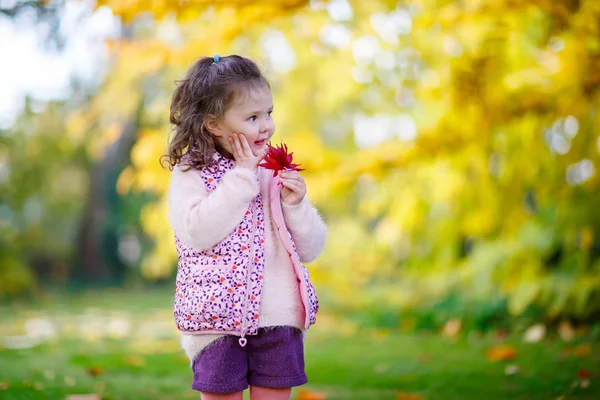 Kleines Mädchen im wunderschönen Herbstpark — Stockfoto