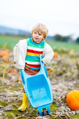Sevimli sarışın çocuk çocuk büyük kabak yama ile