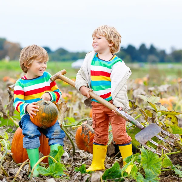 Two little kids boys with big pumpkins on patch — Stock Photo, Image