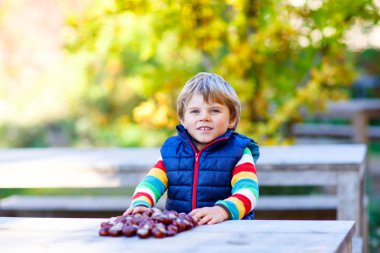 kestane sonbahar Park ile oynayan küçük sarışın çocuk.