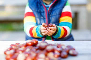 kestane sonbahar Park ile oynayan küçük sarışın çocuk.