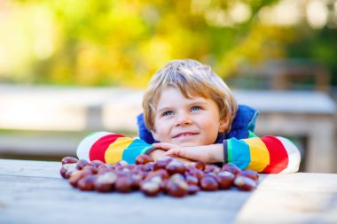 kestane sonbahar Park ile oynayan küçük sarışın çocuk.