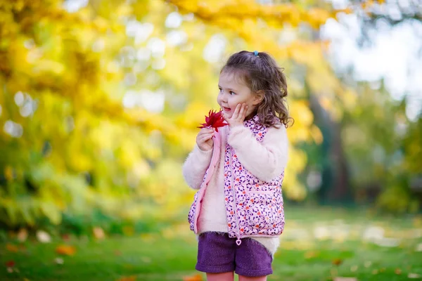 Μικρό παιδί κορίτσι στο όμορφο πάρκο φθινόπωρο — Φωτογραφία Αρχείου