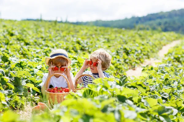 Dois meninos irmãos na fazenda de morango no verão — Fotografia de Stock