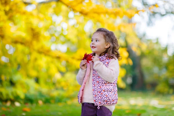 Küçük çocuk kız güzel sonbahar Park — Stok fotoğraf