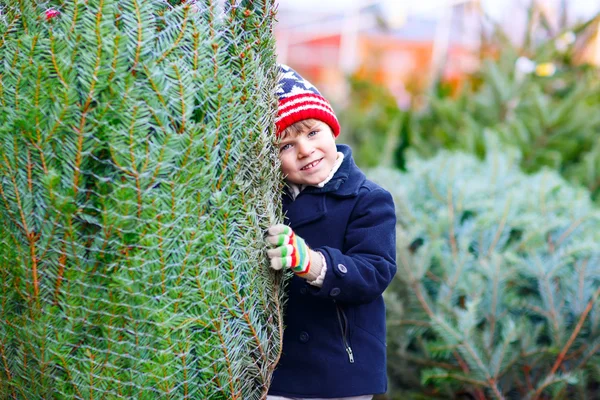 Hermoso niño sonriente sosteniendo el árbol de Navidad —  Fotos de Stock