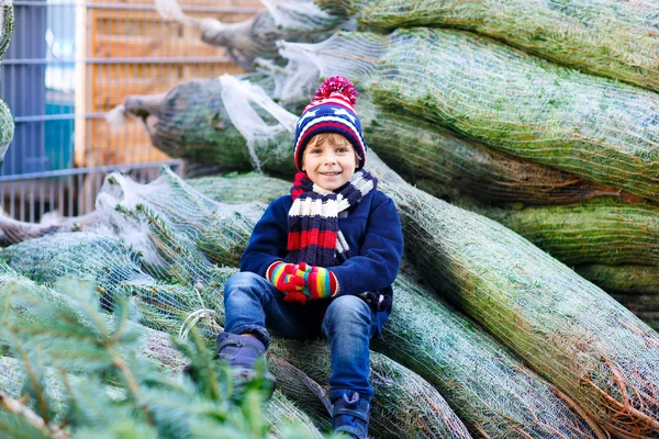 Bonito menino sorridente segurando árvore de Natal — Fotografia de Stock