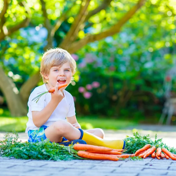 Funny little kid boy with carrots in  garden — Stock Photo, Image