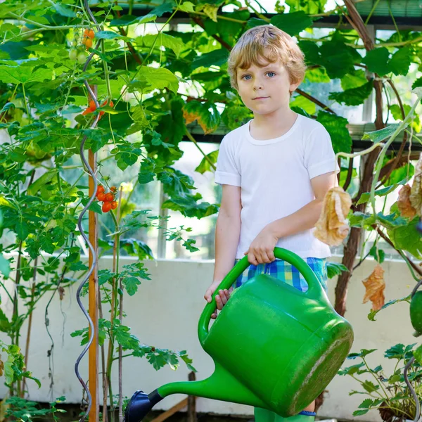 Liten unge pojke vattna växterna i växthuset — Stockfoto