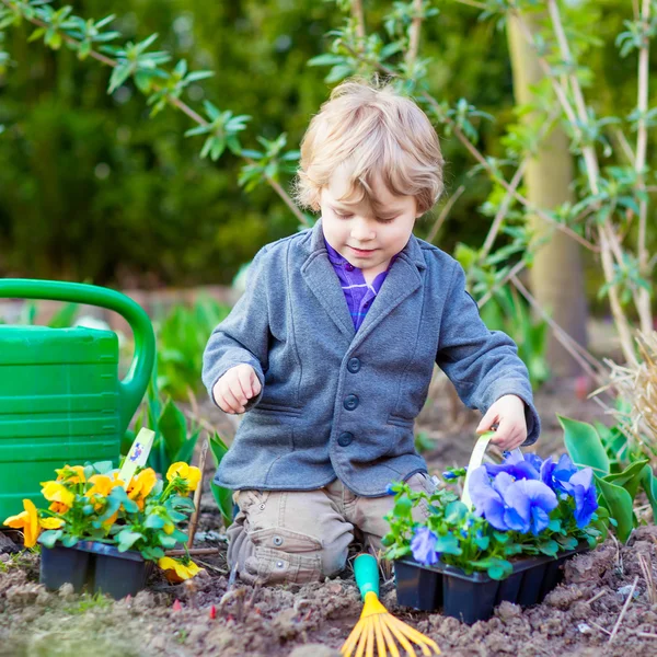 Liten pojke trädgårdsskötsel och plantera blommor i trädgården — Stockfoto