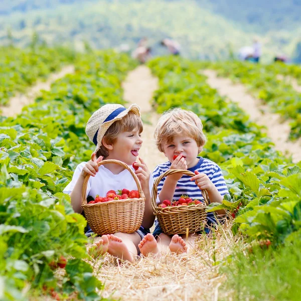 Zwei kleine Geschwister im Sommer auf Erdbeerfarm — Stockfoto