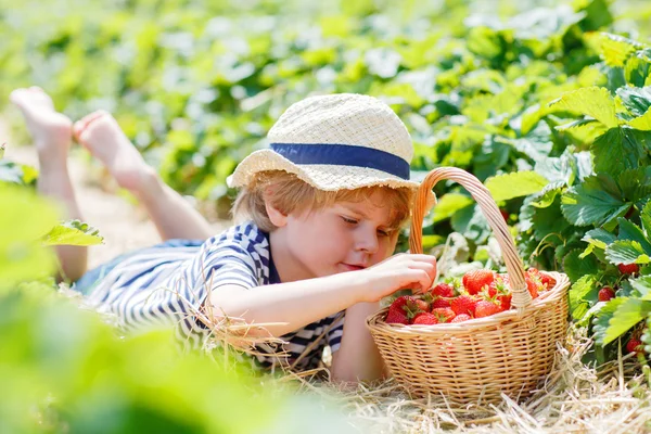 Liten unge pojke plocka jordgubbar på gården, utomhus. — Stockfoto