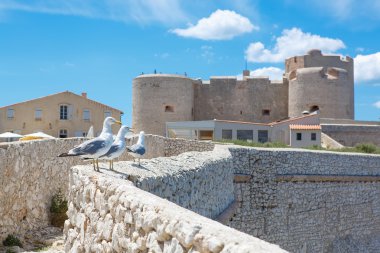 Marsilya Fransa Kalesi Chateau DIF.