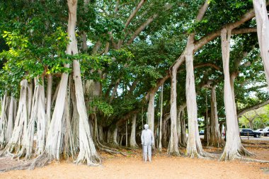 Fort Myers, Fl-Nisan 15 2016: Fort Myers Florida, Thomas Edison