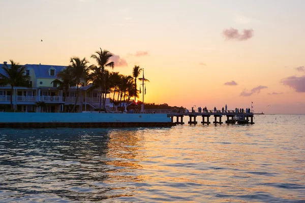 Hermosa salida del sol en Key West, Florida, EE.UU. —  Fotos de Stock