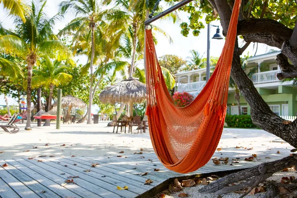 Tropical resort with chaise longs and hammocks — Stock Photo, Image