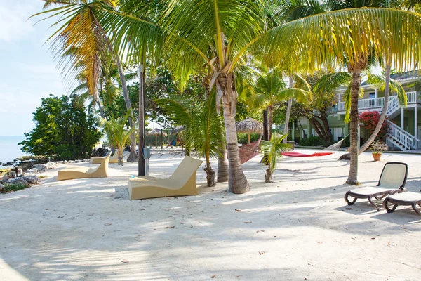 Tropical resort with chaise longs and hammocks — Stock Photo, Image