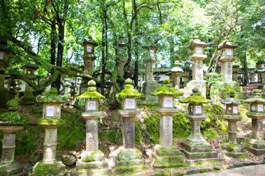 Nara, Japonya'daki Kasuga tapınağına taş fenerler