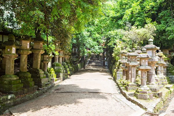 Lanternes en pierre au sanctuaire Kasuga à Nara, Japon — Photo