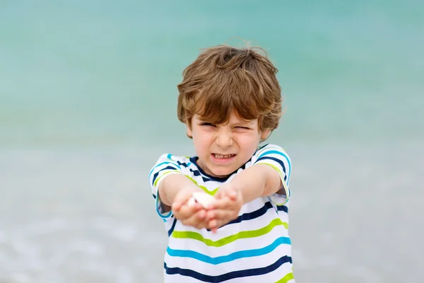 Little kid boy having fun with collecting shells — Stock Photo, Image