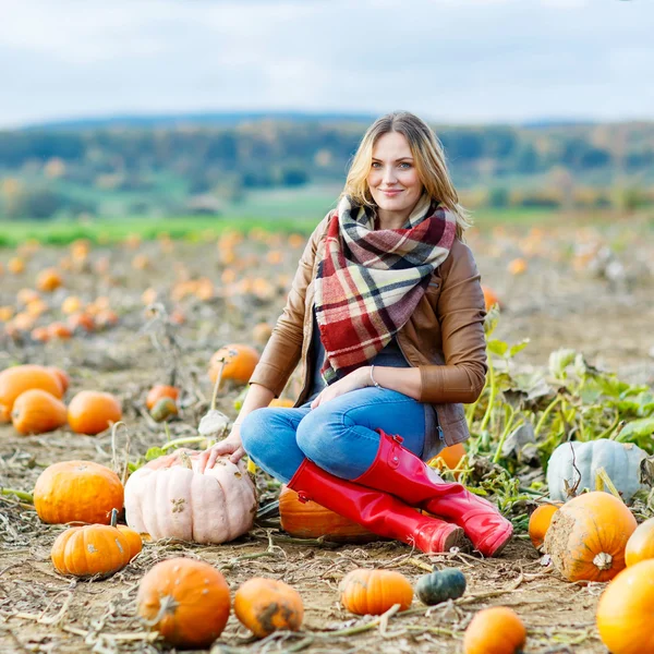 Belle femme travaillant sur le champ de citrouille — Photo