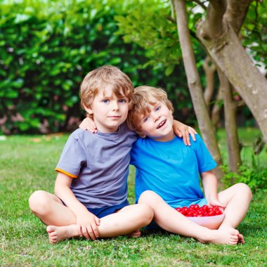Two little boys picking cherries in garden, outdoors.